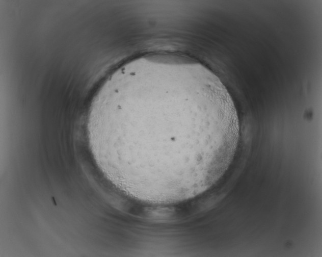 X0000115730359200912241631
