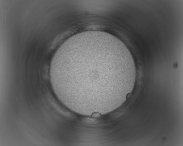 X0000115730361200912241631