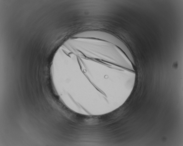 X0000115730362200912241631