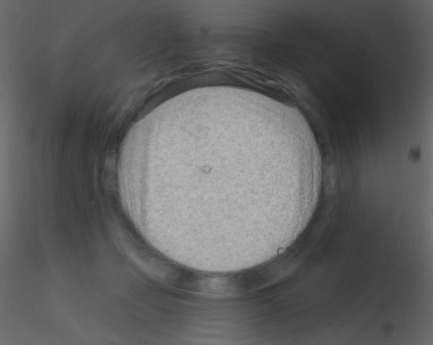 X0000115730365200912241631