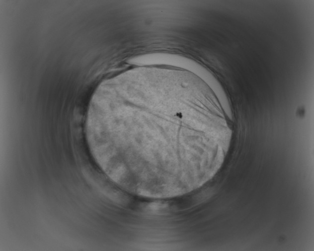 X0000115730366200912241631