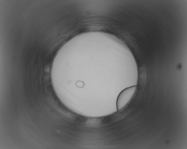X0000115730369200912241631