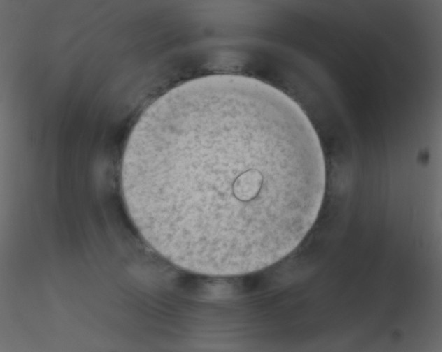 X0000115730370200912241631