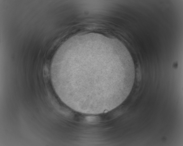 X0000115730371200912241631