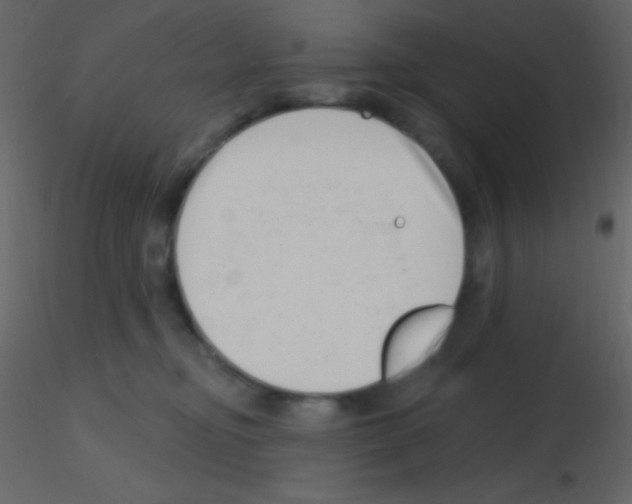 X0000115730374200912241631