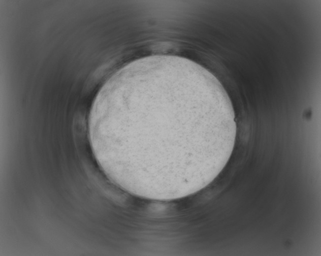 X0000115730375200912241631