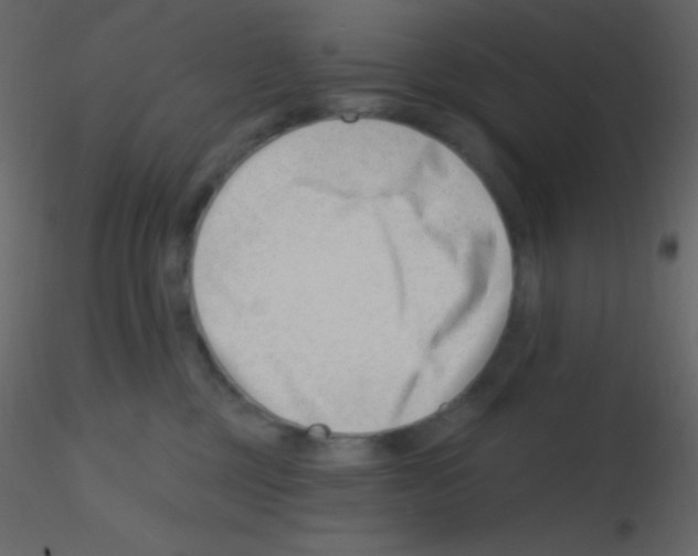 X0000115730377200912241631