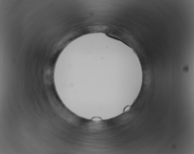 X0000115730378200912241631
