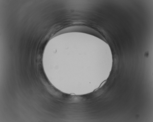 X0000115730379200912241631