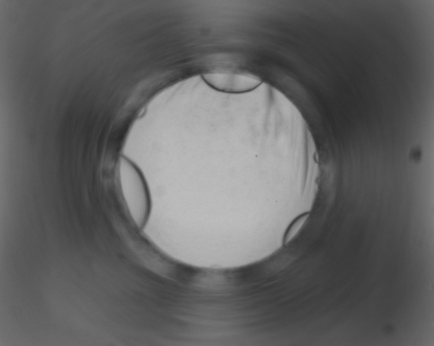 X0000115730381200912241631