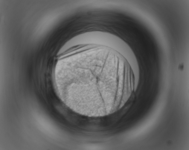 X0000115730382200912241631