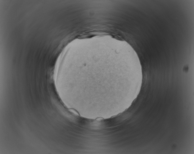 X0000115730383200912241631