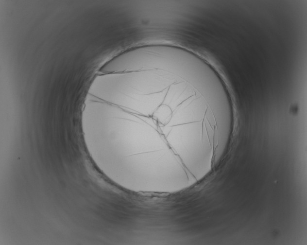 X0000115730385200912241631