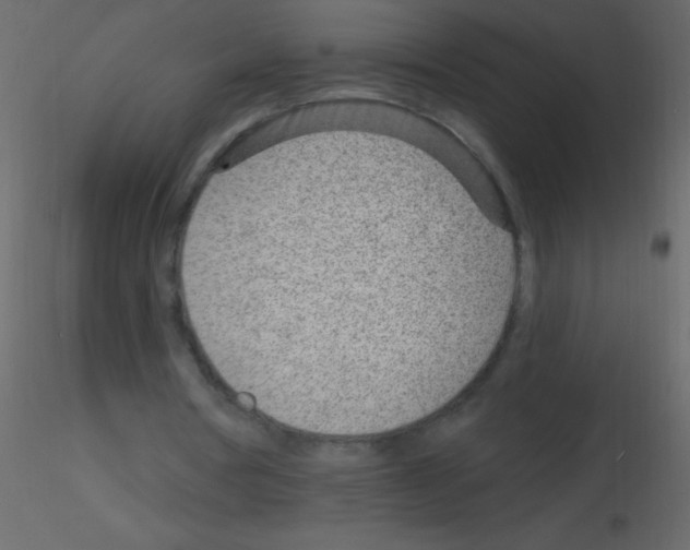 X0000115730386200912241631