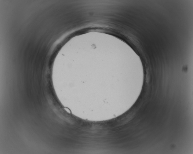 X0000115730388200912241631