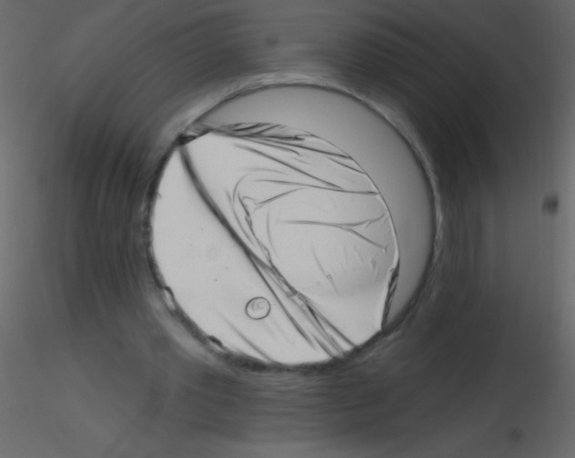 X0000115730389200912241631