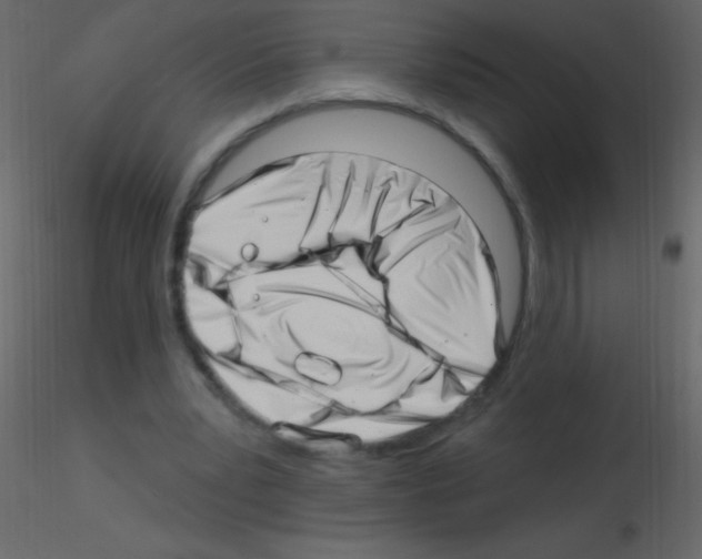 X0000115730391200912241631