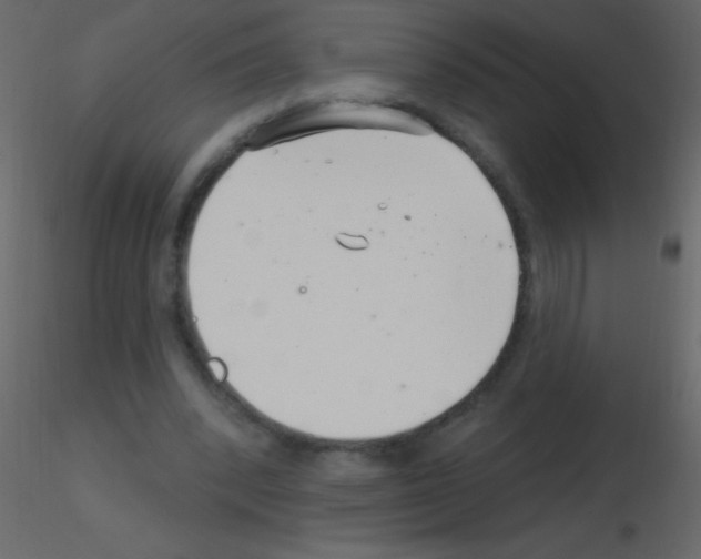 X0000115730392200912241631