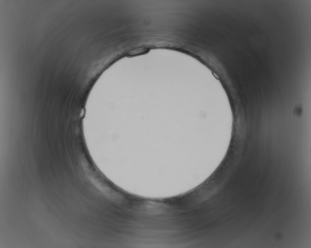 X0000115730393200912241630