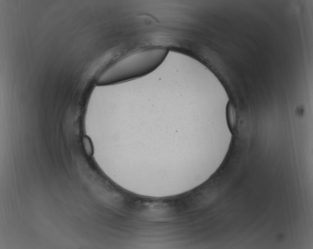 X0000115730395200912241630