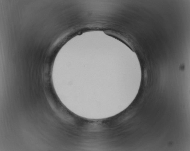 X0000115730396200912241630
