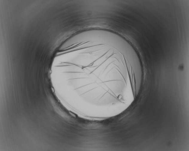 X0000115730397200912241630