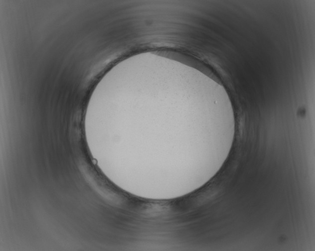 X0000115730398200912241630