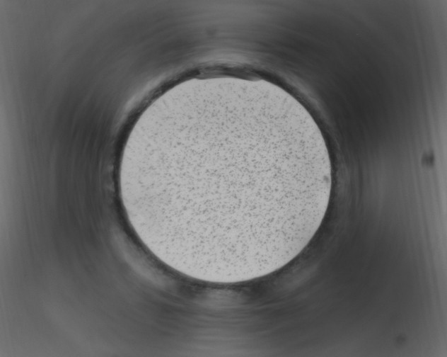X0000115730399200912241630