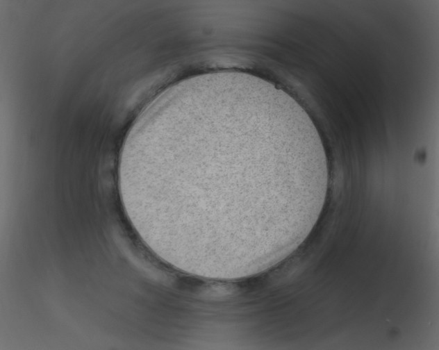 X0000115730402200912241630
