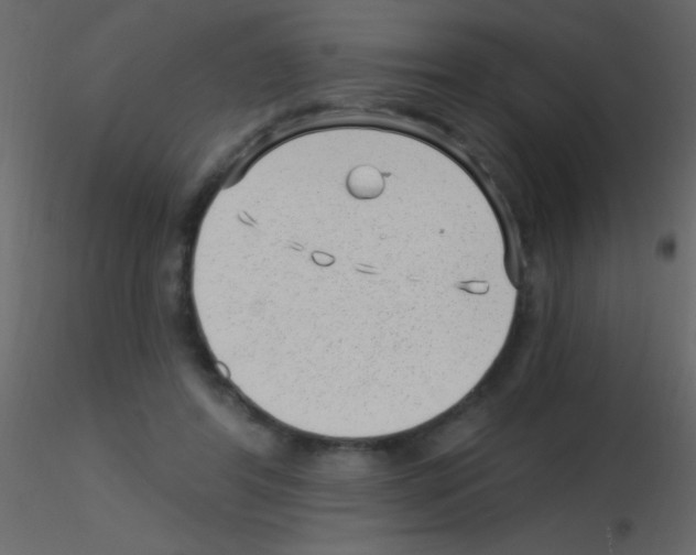 X0000115730404200912241630