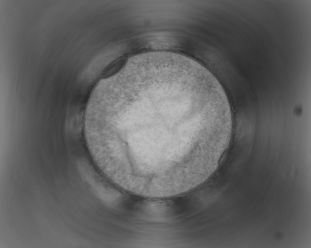 X0000115730405200912241630