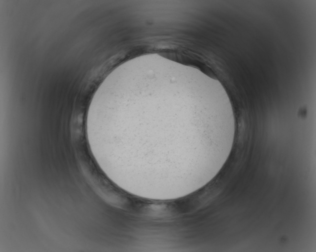 X0000115730406200912241630