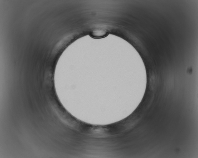 X0000115730407200912241630