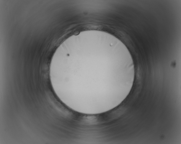 X0000115730409200912241630