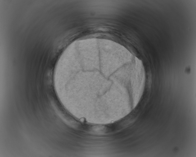 X0000115730410200912241630