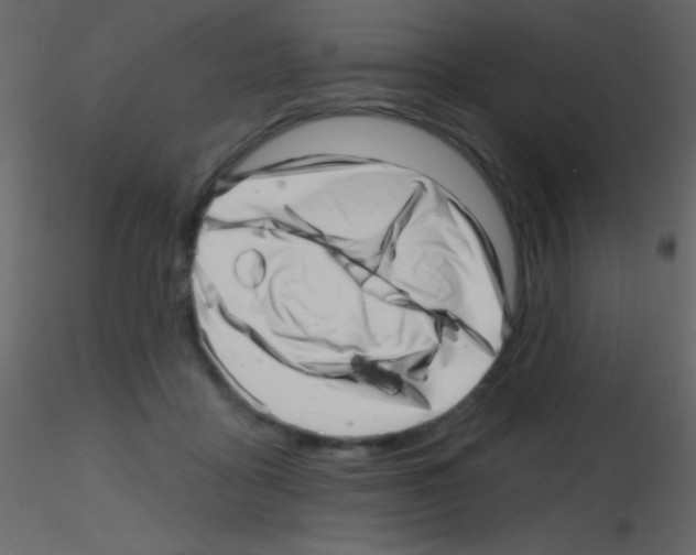 X0000115730411200912241630