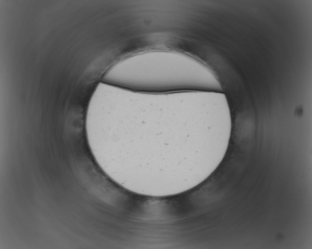 X0000115730413200912241630