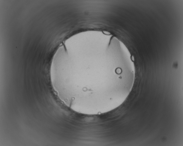 X0000115730415200912241630