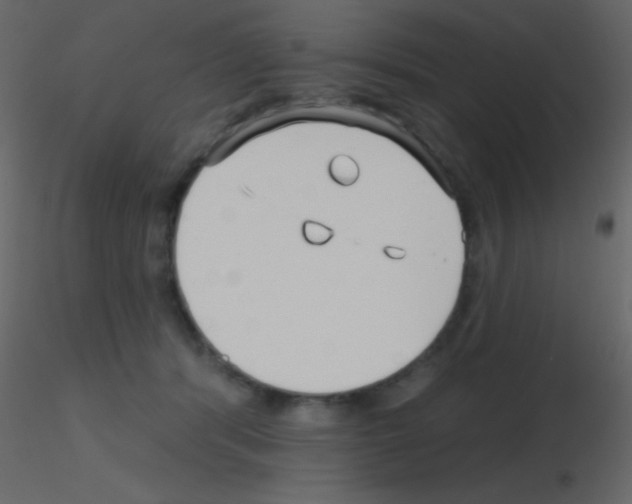 X0000115730416200912241630