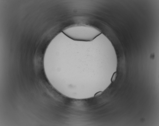 X0000115730417200912241630