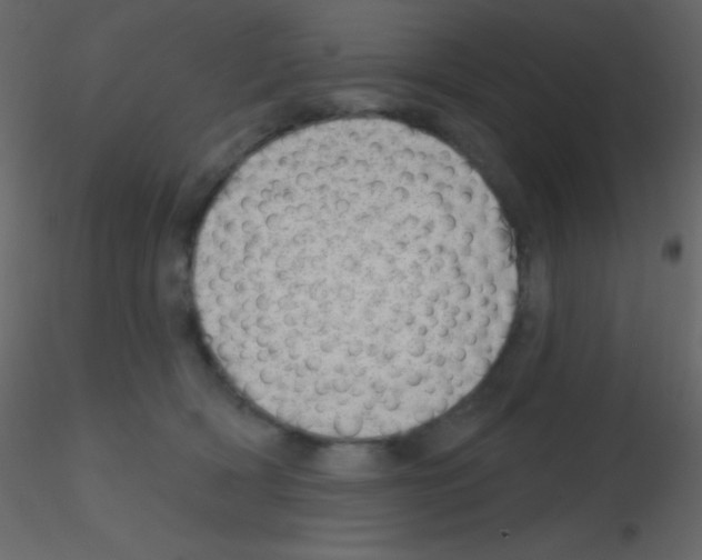 X0000115730418200912241630