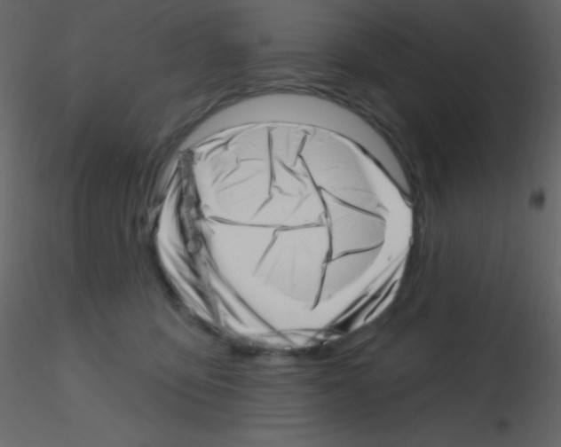 X0000115730419200912241630
