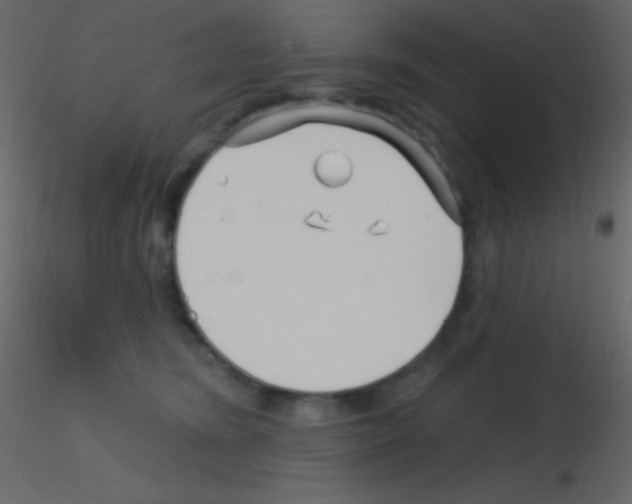 X0000115730420200912241630