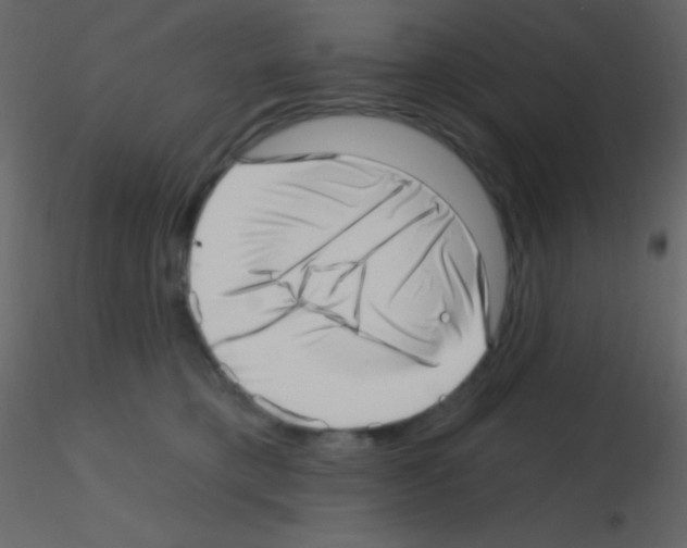 X0000115730421200912241630