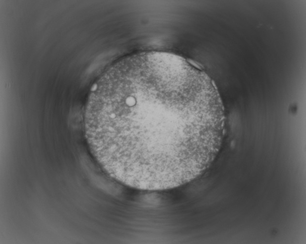 X0000115730423200912241630