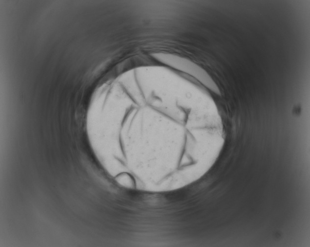 X0000115730424200912241630