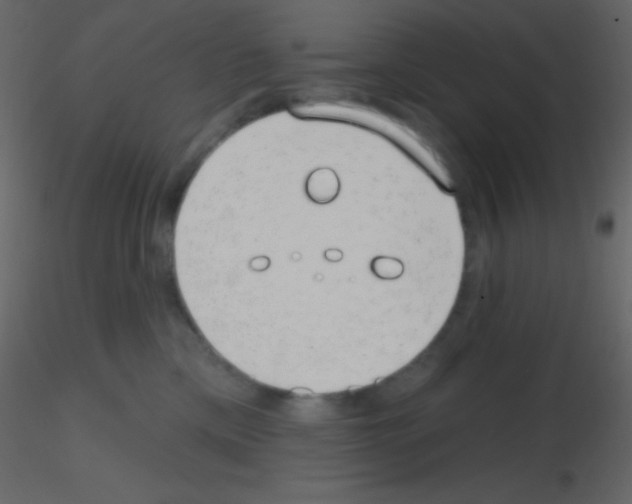 X0000115730425200912241630