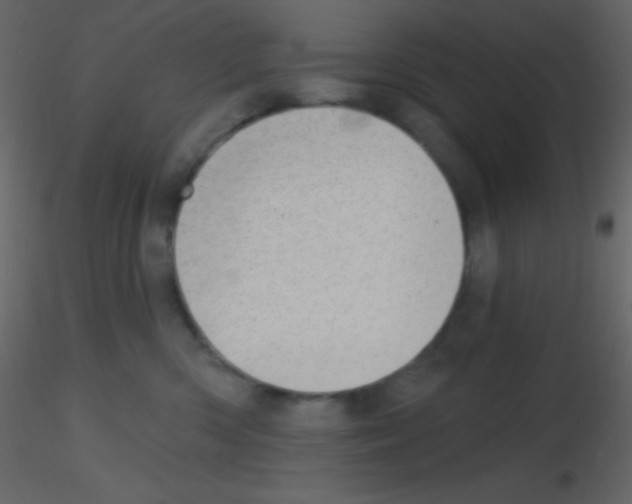 X0000115730426200912241630