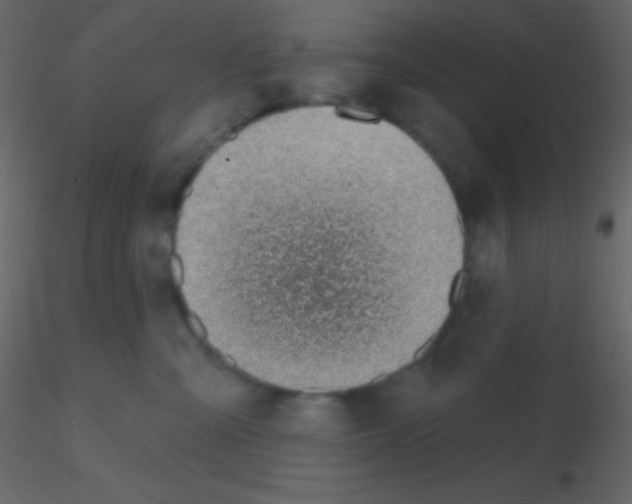 X0000115730427200912241630