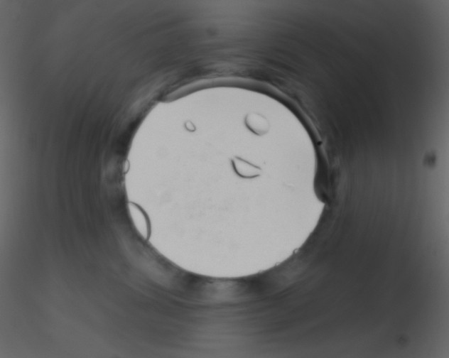 X0000115730428200912241630
